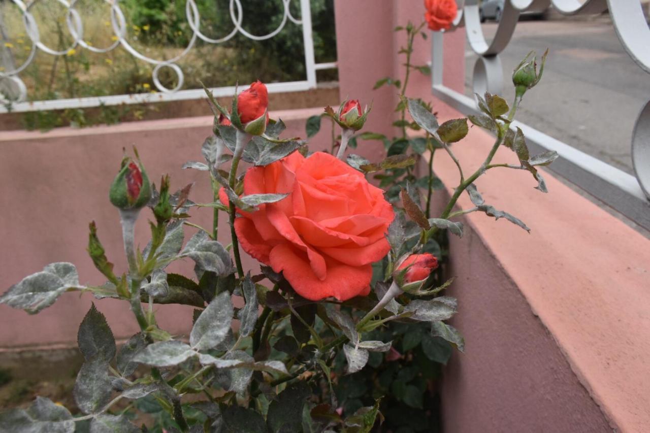 Sa Mariposa Bed and breakfast *