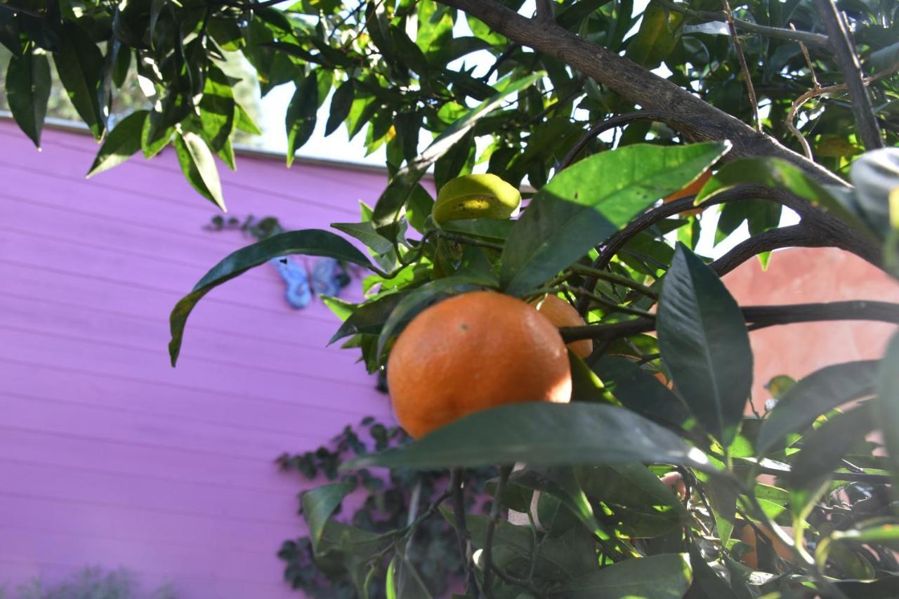 Bed and breakfast Sa Mariposa Muravera