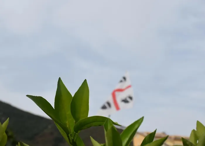 Sa Mariposa