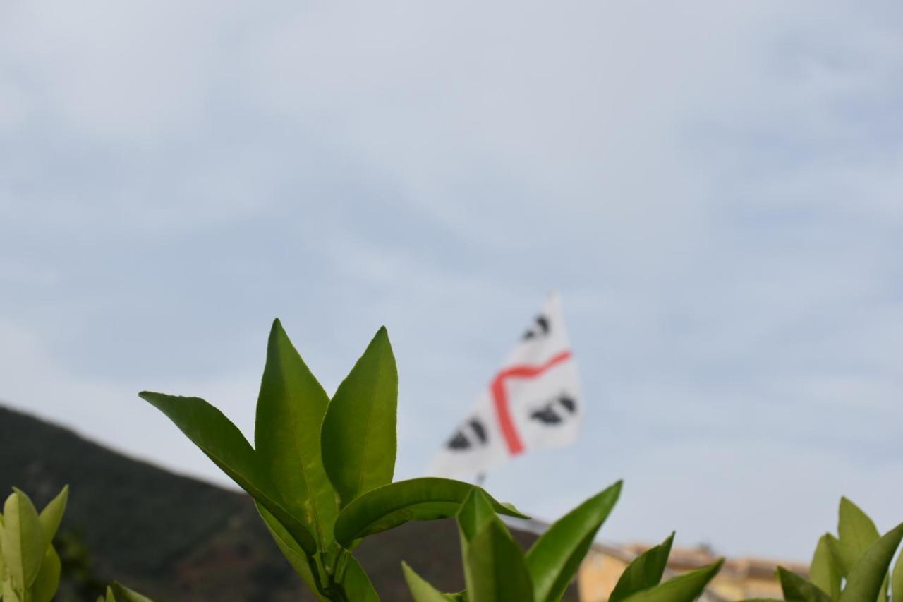 Frühstückspension Sa Mariposa *